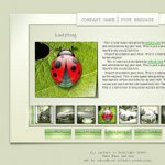 Clean and glossy Green Design